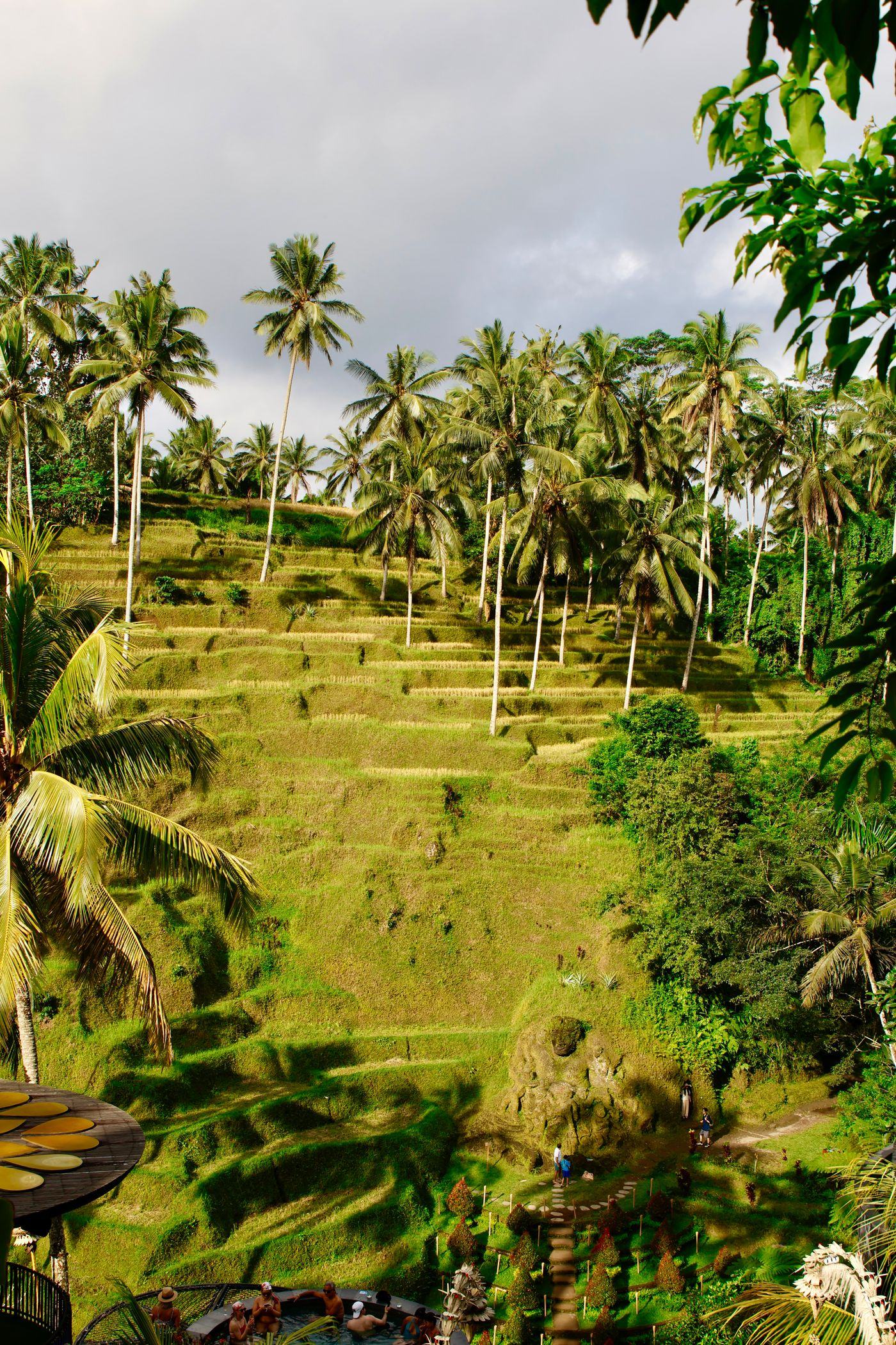 Travelling to Indonesia